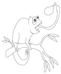 chameleon coloring book page for kids