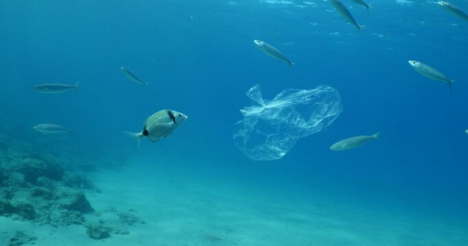 pollution underwater plastic material in the ocean plastic 