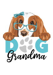 Funny peeking Cocker Spaniel dog grandma with accessories