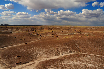 Alien Landscape Petrified Forest National Park Arizona