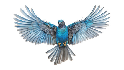 Fototapeta premium blue winged bird isolated on transparent background cutout