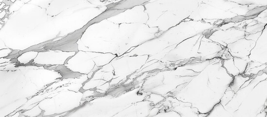 A detailed close up shot of a white marble texture creates a monochrome pattern on a white background, resembling a snowy slope with twiglike veins - obrazy, fototapety, plakaty