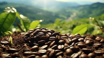 Fresh coffee beans on natural dirt background, perfect for coffee lovers or organic products concept