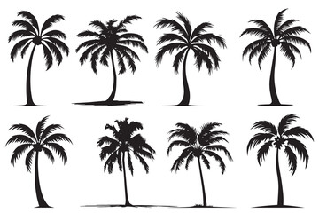 black silhouette Palm trees vector set