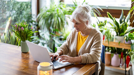 Mature woman using laptop while sitting at the table at home
- 762350384