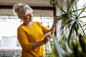 Senior woman taking care of houseplants at home
- 762350515