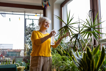 Senior woman taking care of houseplants at home
