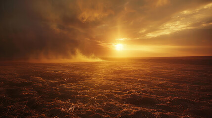 Fields burnt out by sun rays and high temperatures - obrazy, fototapety, plakaty