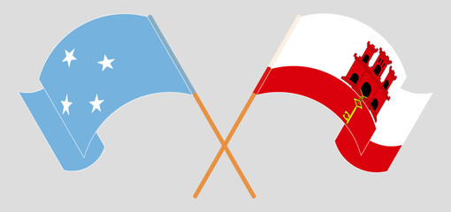 Crossed and waving flags of Micronesia and Gibraltar