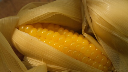 close up of corn