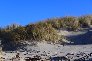 Dünen auf Juist, Ostfriesische Insel