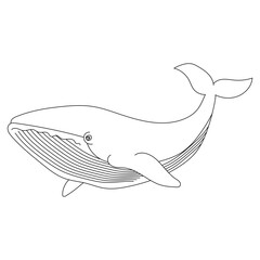 Outline Whale Clipart for Lovers of Sea Animals, Marine Life, and Aquatic Animals