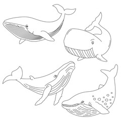 Outline Whale Clipart Set for Lovers of Sea Animals, Marine Life, and Aquatic Animals
