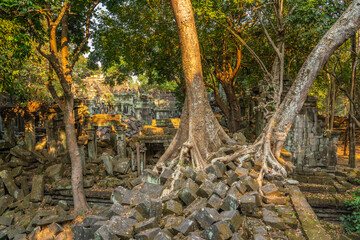 The hidden beauty of ancient temple ruins in the middle of jungle forest temple of Beng Mealea temple, Siem Reap, Cambodia. - 762357983
