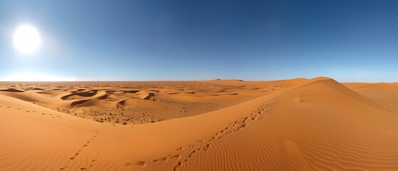 Fototapeta na wymiar Desert under the sunshine, with footprints stretching far
