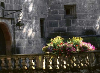 Blumen auf Mauer