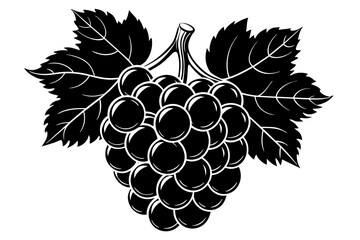 grape vector illustration