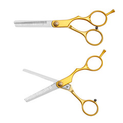 Set.professional hair scissors and thinning scissors on a blank background