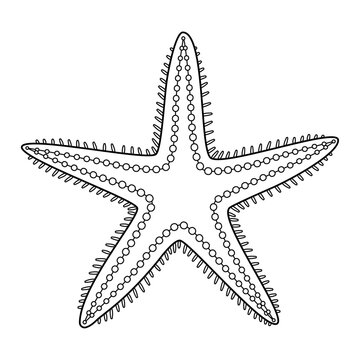 Starfish vector illustration. Black and white outline Starfish Coloring page for kids and adults. Page for relaxation and meditation. Vector illustration