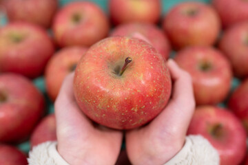 リンゴを持った子供の手