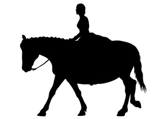 Horseman rides a horse on a white background - 762368590