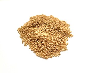 Yellow mustard seeds isolated on bright background.
