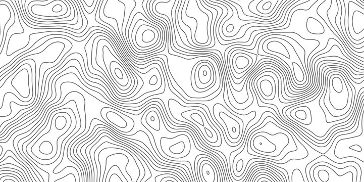 Topographic Map in Contour Line Light Topographic White seamless texture. Topography map pattern, Geographic curved, vector illustration.