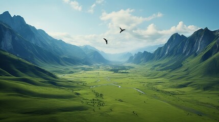 Beautiful grassland mountains with flying birds. Green landscape, meadow sky and tree park meadow bird meadow background.