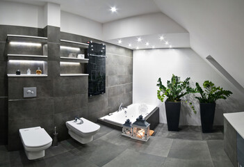 Interior of an elegant bathroom with grey theme tiles. Contemporary home interior design. 