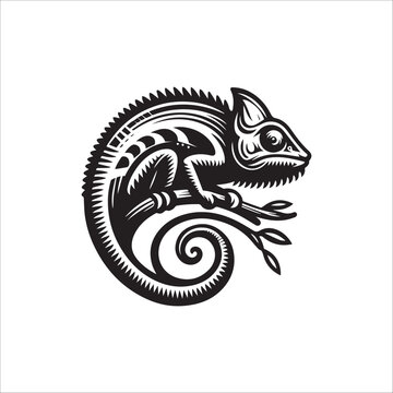  Chameleon design silhouette illustration