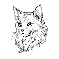A simple line drawing of a cat.