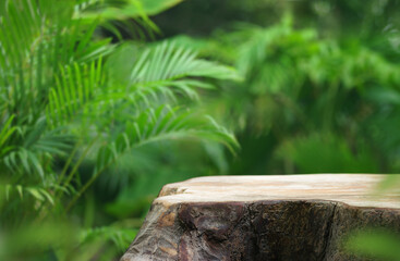 Wood podium table top floor in outdoors tropical garden forest blurred green leaf plant nature background.Natural product placement pedestal stand display,jungle paradise concept.