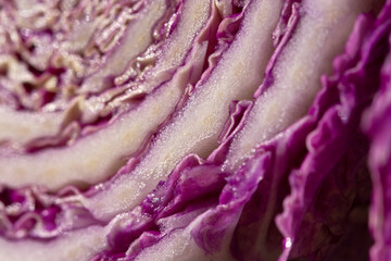 Purple cabbage macro abstract background. Creative composition in the harsh sunlight. Cut the crude product. Vegetarianism, diet, vitamins. Purple Peking cabbage for salads. The texture of the food - 762389342