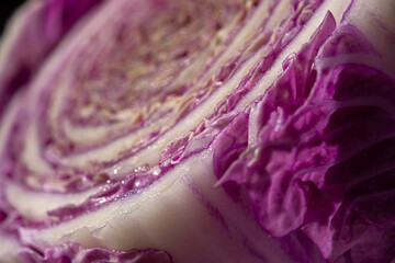 Purple cabbage macro abstract background. Creative composition in the harsh sunlight. Cut the crude product. Vegetarianism, diet, vitamins. Purple Peking cabbage for salads. The texture of the food - 762389718