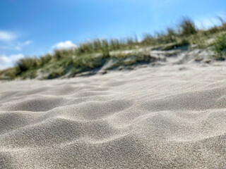 Close-Up/Nahaufnahme eines Sandstrandes mit begrünter Dünung und blauem Himmel im unscharfen...