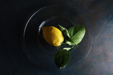 Limoni su un piatto; still life con vista dall’alto, composizione su fondo scuro 