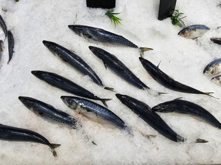 Fresh fish is soaked in ice at the supermarket.