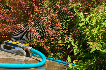 Sprinkler watering flowers on a hot day in a city park. Irrigation system