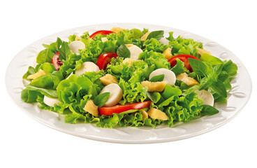 prato com salada de folhas verdes, tomate, palmito e manga isolado em fundo transparente