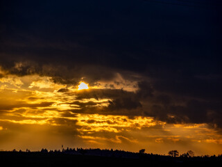 Kahler Baum bei Sonnenuntergang