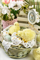 Easter background with a wicker basket full of eggs and yellow chickens on the table