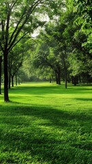 Fototapeta na wymiar a green field enveloped by lush trees, captured in a realistic photograph that evokes a sense of peace and harmony.