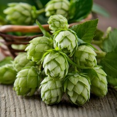 Obraz premium hop on the table