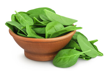 Baby spinach leaves in ceramic bowl isolated on white background