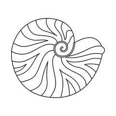 Seashell vector illustration. Black and white outline Seashell Coloring page for kids and adults. Page for relaxation and meditation. Vector illustration