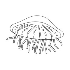 Jellyfish vector illustration. Medusa Black and white outline Jellyfish Coloring page for kids and adults. Page for relaxation and meditation. Vector illustration