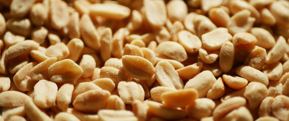 Peanuts texture banner. Healthy eating. Protein snack