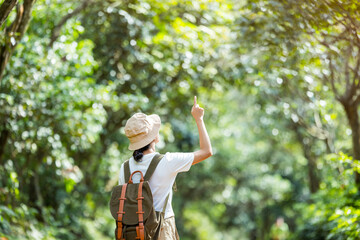 Hiking woman walk along the trail and hand point up in the forest - 762412565