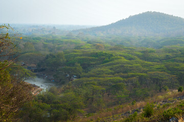 morning  in the forest and mountain with green trees and river 