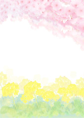 Obraz na płótnie Canvas 水彩風の菜の花と満開の桜の背景フレーム